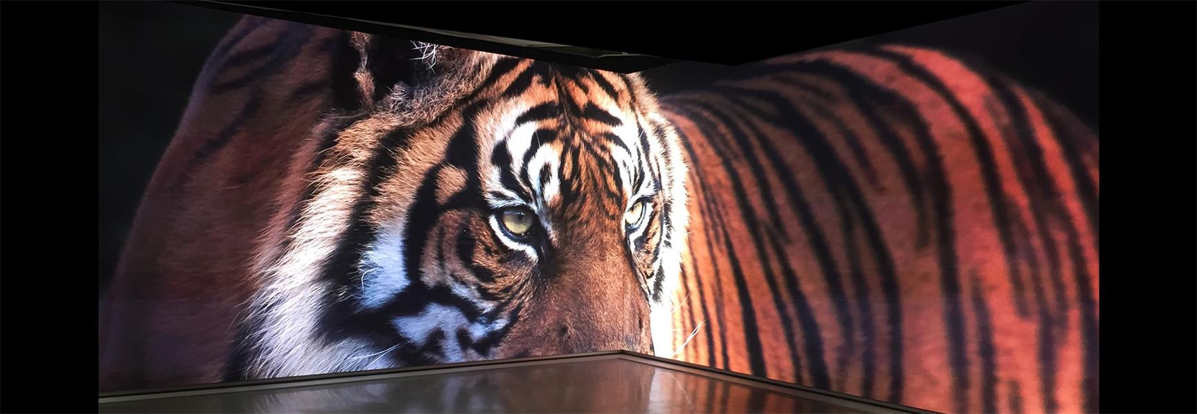 商业显示